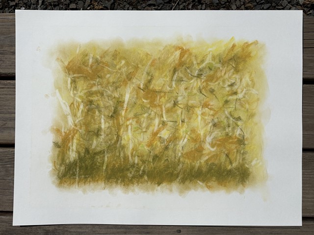 260710 July 10, 2026 conte on 18x24 Bee paper
