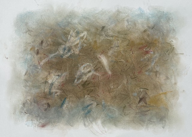 260710 July 10, 2026 conte on 18x24 Bee paper