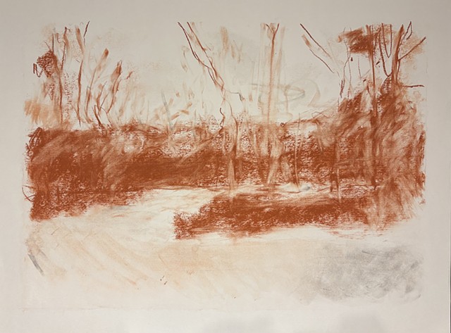 251228 December 28, 2025 conte on 18x24" Bee paper