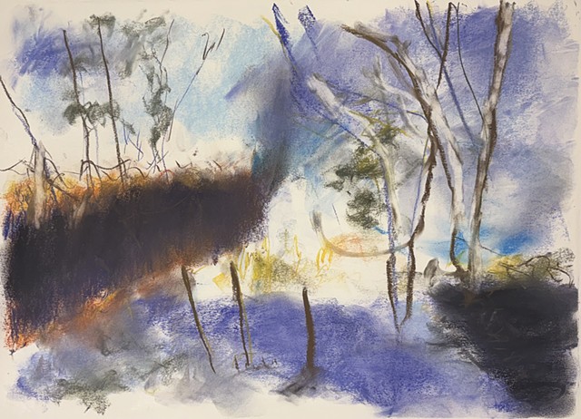 260417 April 17, 2026 conte on 18x24" Bee