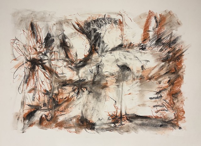 260324 March 24, 2026 conte 18x24