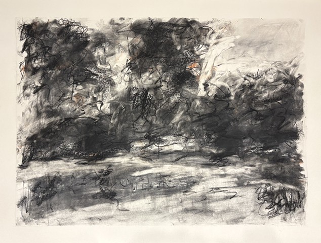 260610 June 10, 2026 conte on 18x24 paper