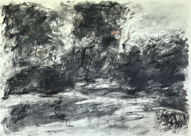 260610 June 10, 2026 conte on 18x24 paper