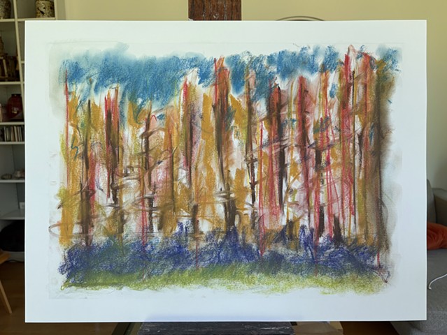 260628 June 28, 2026 conte on 18x24 paper