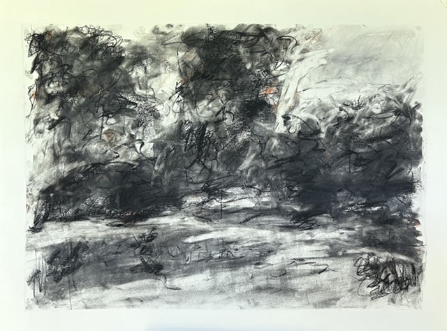 260610 June 10, 2026 conte on 18x24 paper