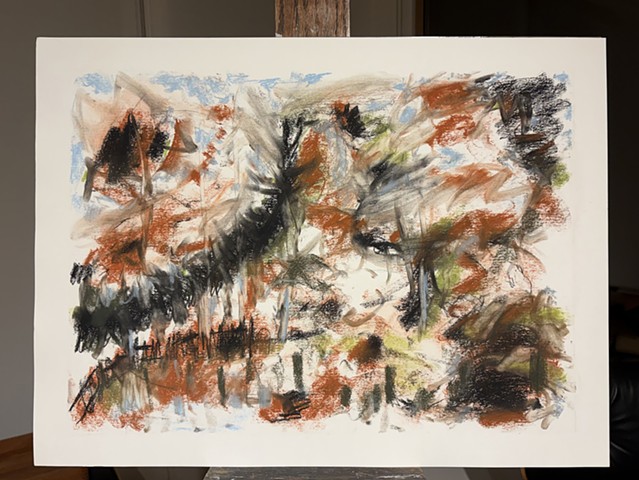 260331 March 31, 2026 conte on 18x24 Bee