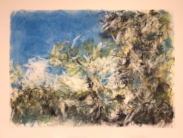 260526 May 26, 2026 conte on 18x24" Bee paper