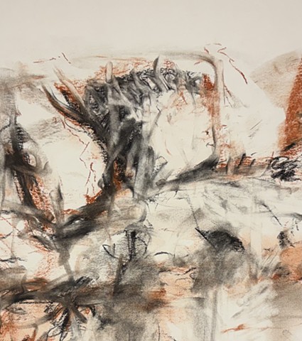 260324 March 24, 2026 conte 18x24 -detail