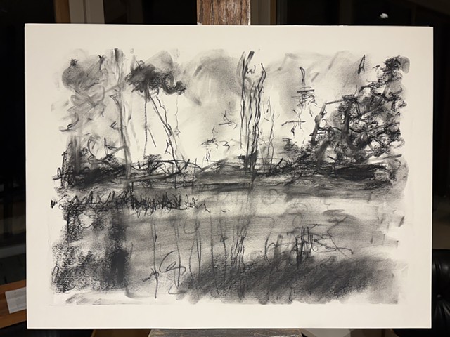 260106 January 6, 2026 conte 18x24