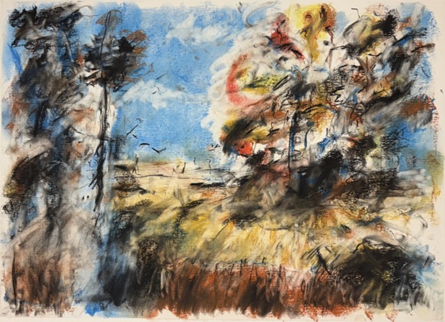 251102 November 2, 2025 conte on 18x24 Bee paper