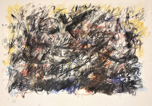 260424 April 24, 2026 conte on 18x24 Bee