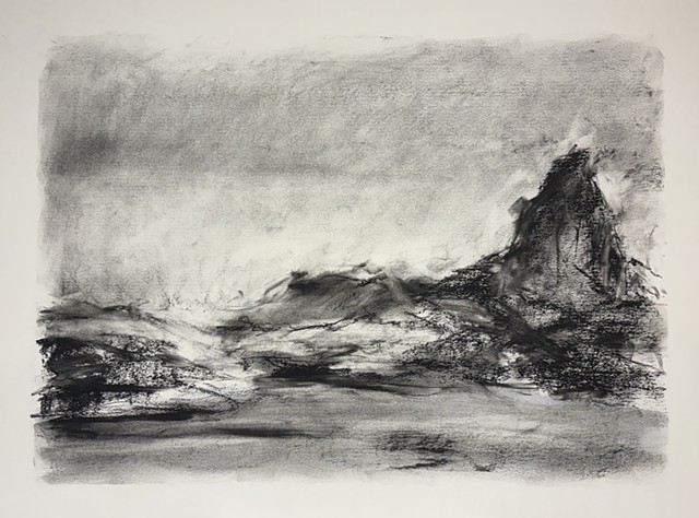 260313 March 13, 2026 conte on 18x24" Bee paper