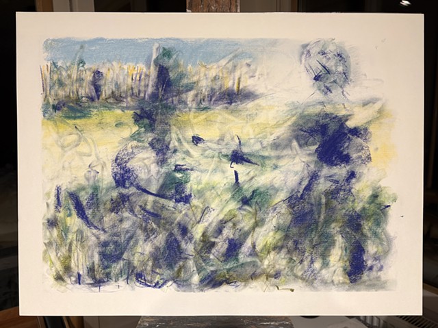 260224 February 24, 2026 conte on 18x24 Bee