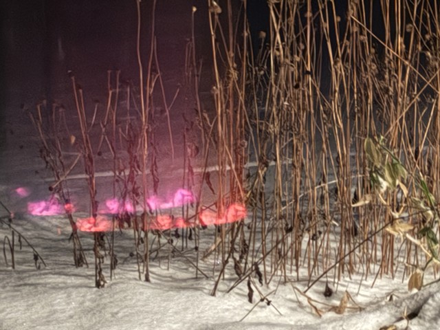 260106 January 6, 2026 -photo