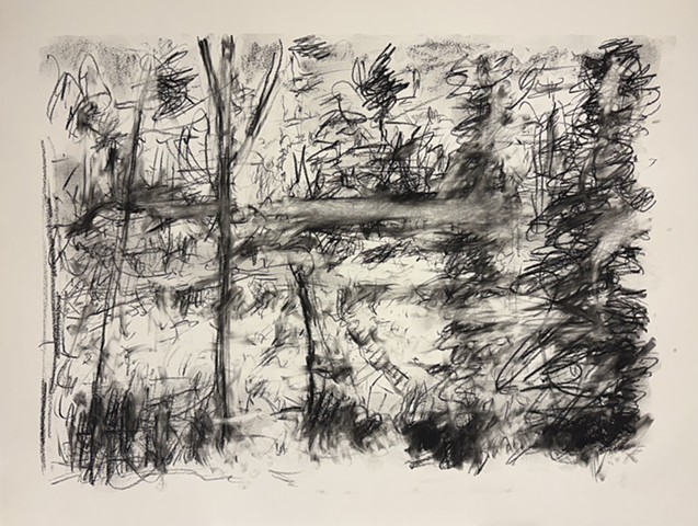 260414 April 14, 2026 conte on 18x24 Bee paper