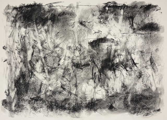 260123 January 23, 2026 conte 18x24"