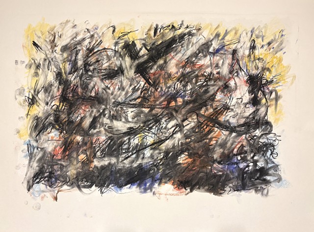 260424 April 24, 2026 conte on 18x24 Bee