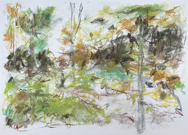 260618 June 18, 2026 conte on 18x24 paper
