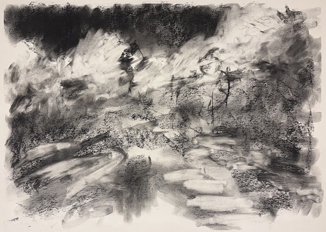 260125 January 25, 2026 conte 18x24