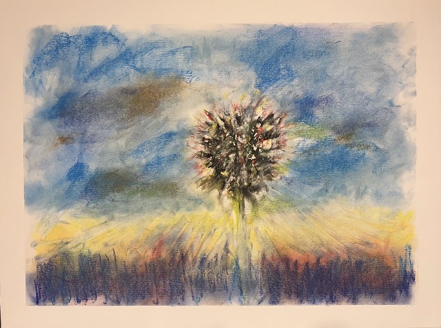 251107 November 7, 2025 conte crayon on 18x24 Bee paper