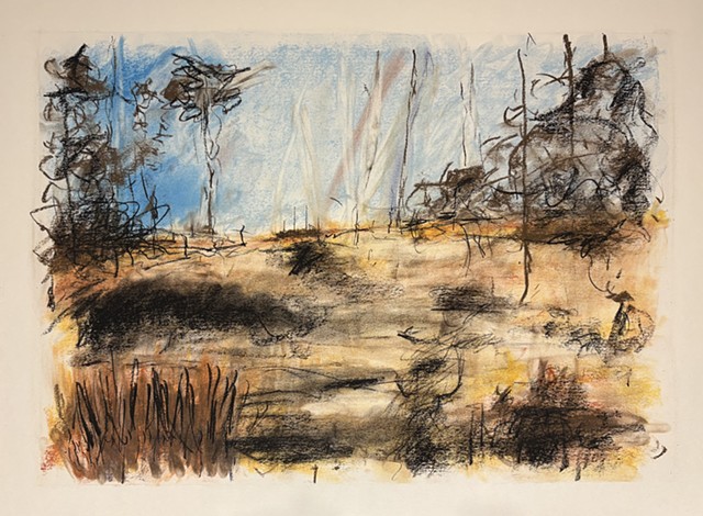 260111 January 11, 2026 conte 18x24"