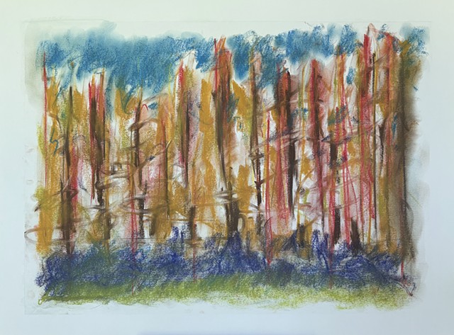 260628 June 28, 2026 conte on 18x24 paper