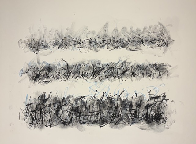 260405 April 5, 2026 conte on 18x24" Bee