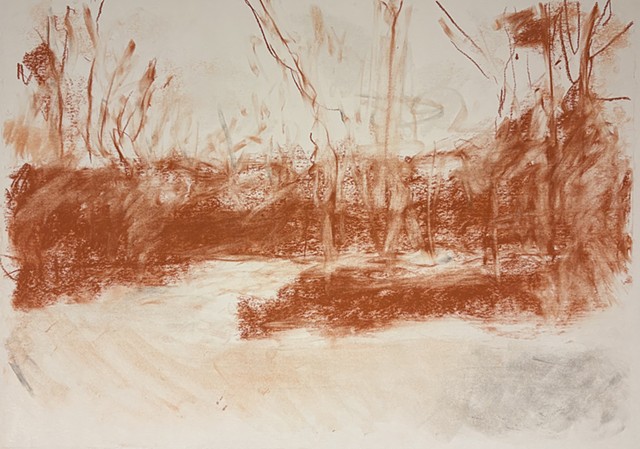 251228 December 28, 2025 conte on 18x24" Bee paper