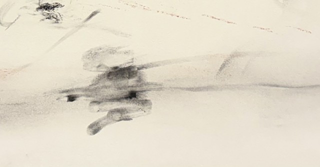 260407 April 7, 2026 conte on Bee-detail