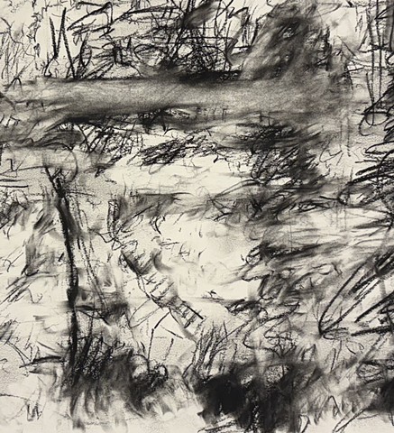 260414 April 14, 2026 conte on 18x24 Bee paper -detail