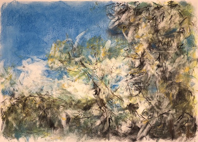 260526 May 26, 2026 conte on 18x24" Bee paper