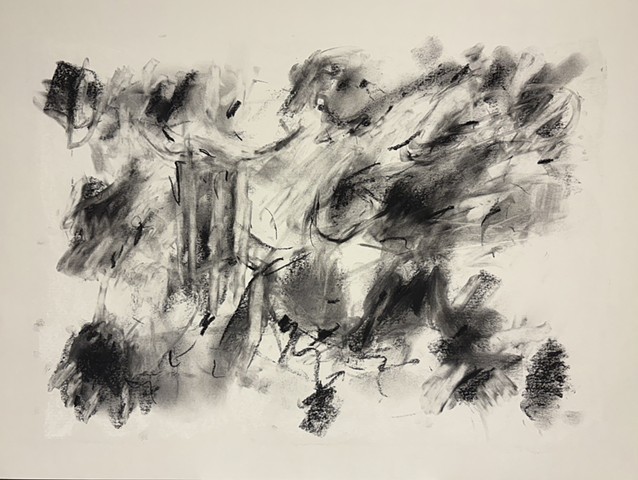 251130 November 30, 2025 conte 18x24"