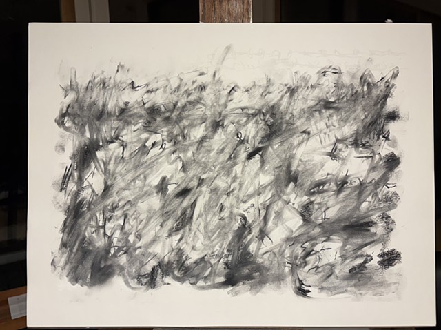 260106 January 6, 2026 conte 18x24