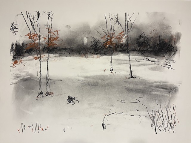 260120 January 20, 2026 conte on 18x24" Bee Super Deluxe Mixed Mexia 90 lb.