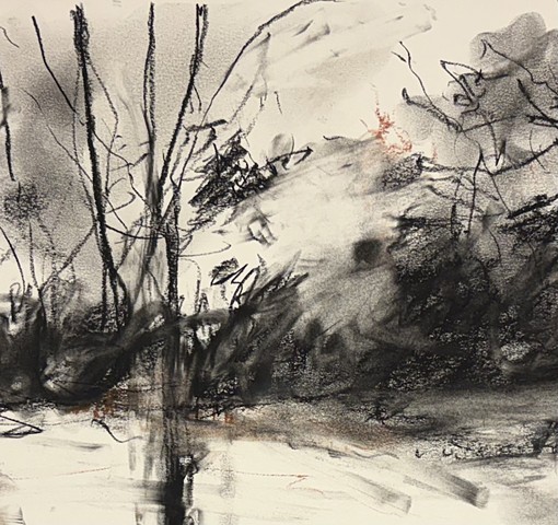 260407 April 7, 2026 conte on Bee - detail