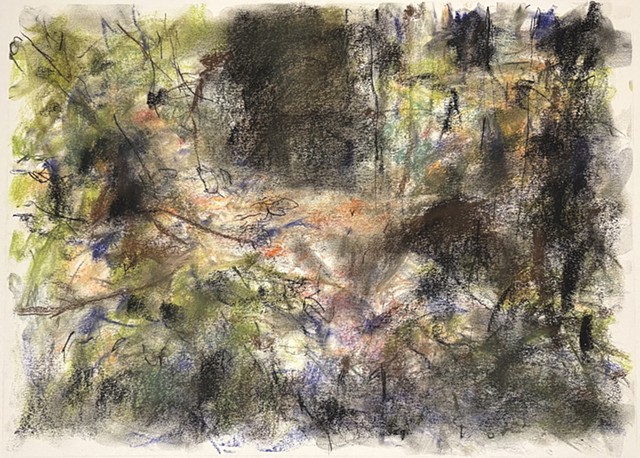 260518 May 18, 2026 conte on 18x24" Bee paper
