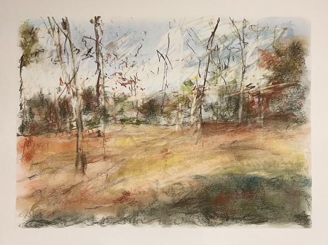 260327 March 27, 2026 conte on 18x24" Bee paper