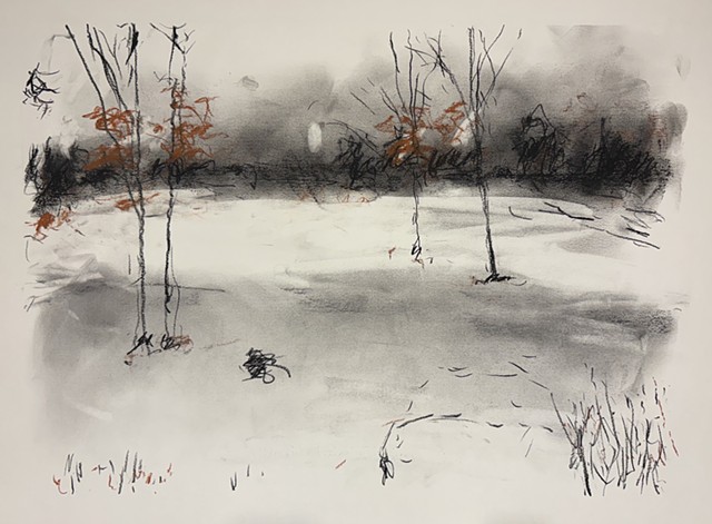 260120 January 20, 2026 conte on 18x24" Bee Super Deluxe Mixed Mexia 90 lb.