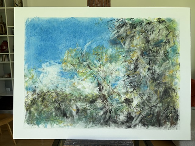260526 May 26, 2026 conte on 18x24" Bee paper