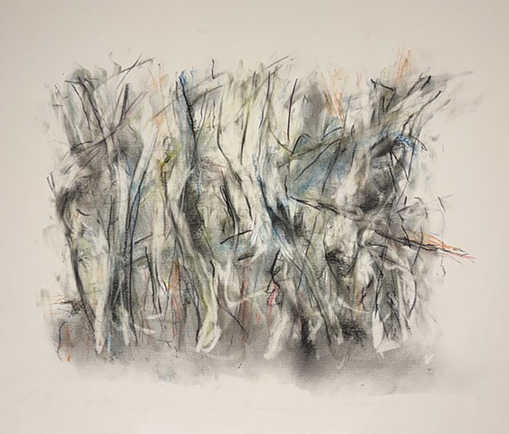 260315 March 15, 2026 conte 18x24"