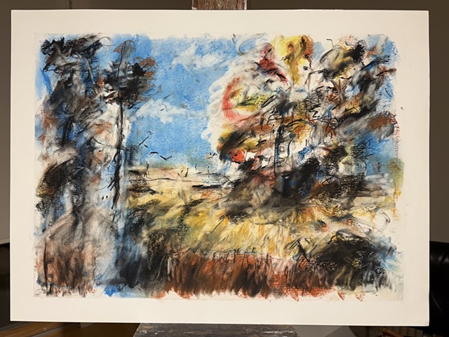 251102 November 2, 2025 conte on 18x24 Bee paper