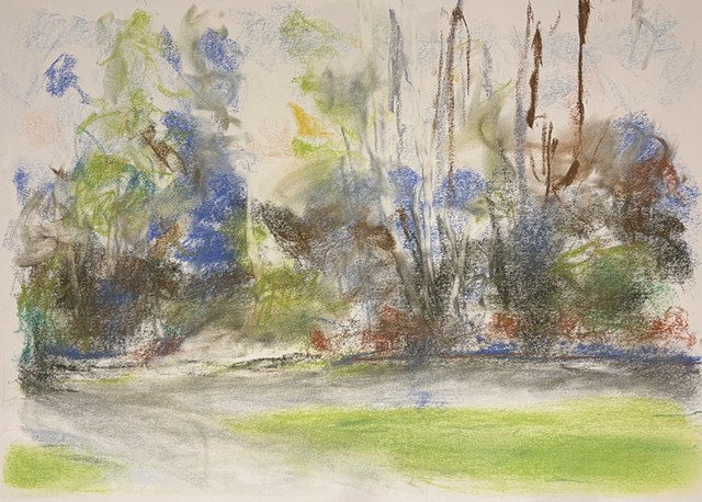 260426 April 26, 2026 conte on 18x24 Bee