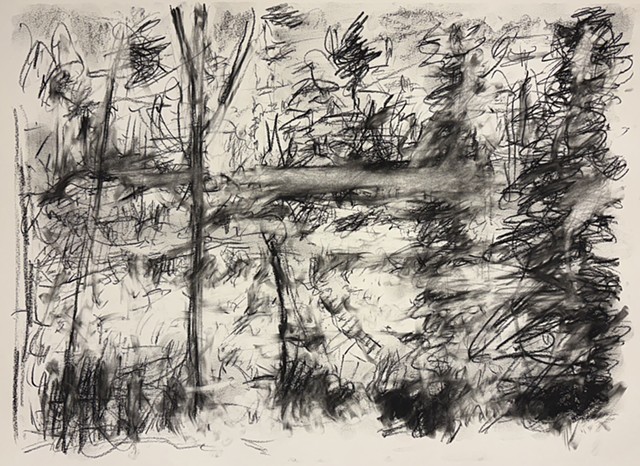 260414 April 14, 2026 conte on 18x24 Bee paper