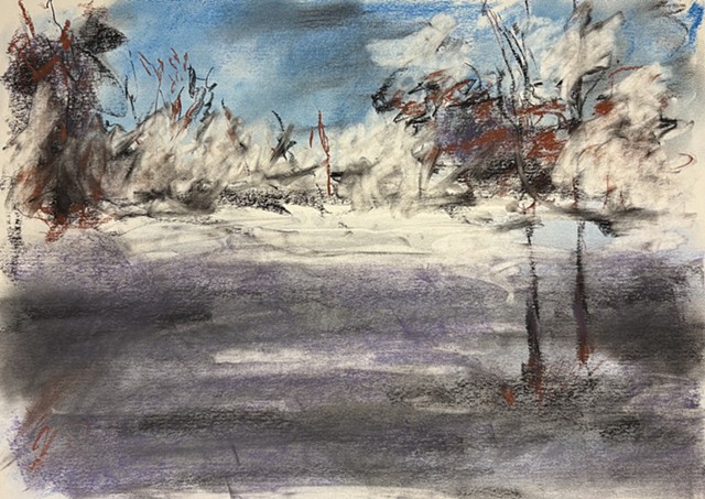 260210 February 10, 2026 conte on 18x24 Bee