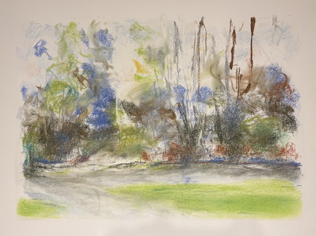 260426 April 26, 2026 conte on 18x24 Bee