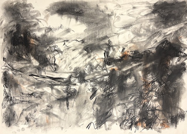 260412 April 12, 2026 conte on 18x24 Bee paper