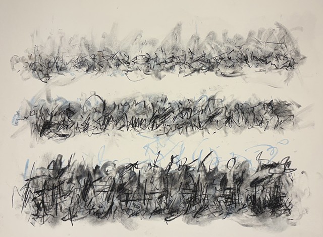 260405 April 5, 2026 conte on 18x24" Bee