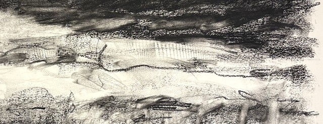 260421 April 21, 2026 conte on 18x24 Bee - detail