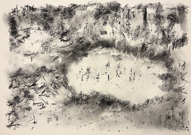 260309 March 9, 2026 conte on 18x24 Bee