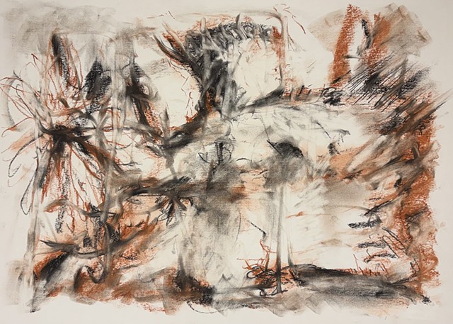 260324 March 24, 2026 conte 18x24